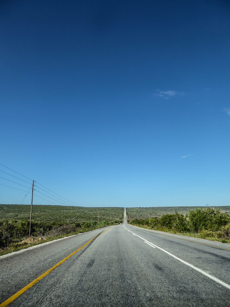 empty road, blank, marking, on the go, sign, road trip, straight, no people, asphalt, south africa, dom, transportation, road, road marking, flat, endless