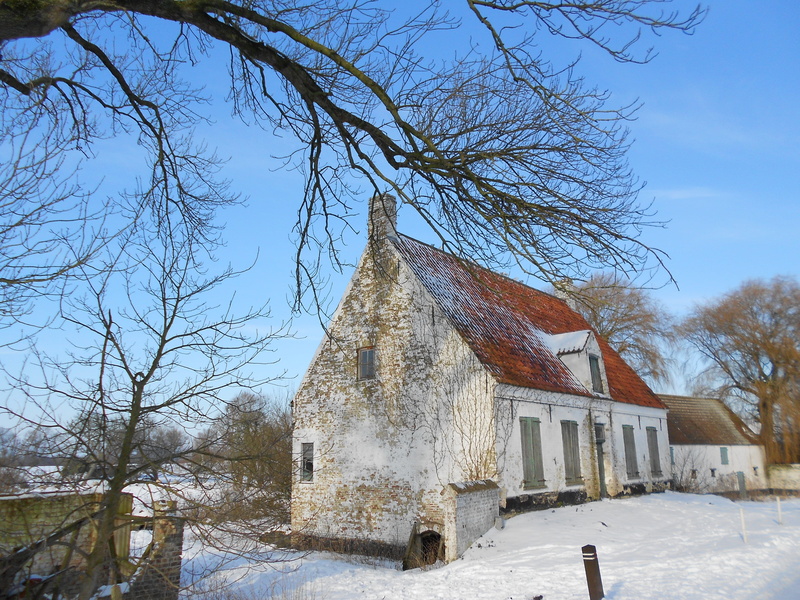 bare tree, snow, built structure, 4K, tree, winter, building, plant, View, building exterior, house, no people, place of worship, architecture, nature