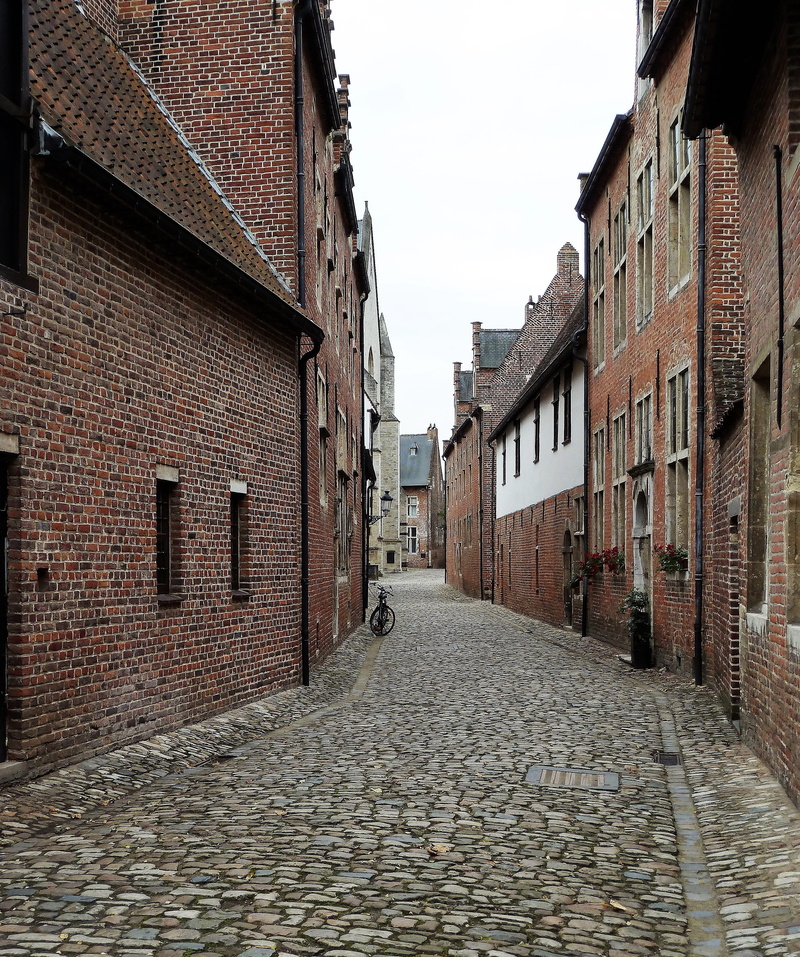 the cobbled streets, city, narrow, alley, leave, town, direction, belgium, cobblestone, built structure, nature, paving stone, street, street scene, brick