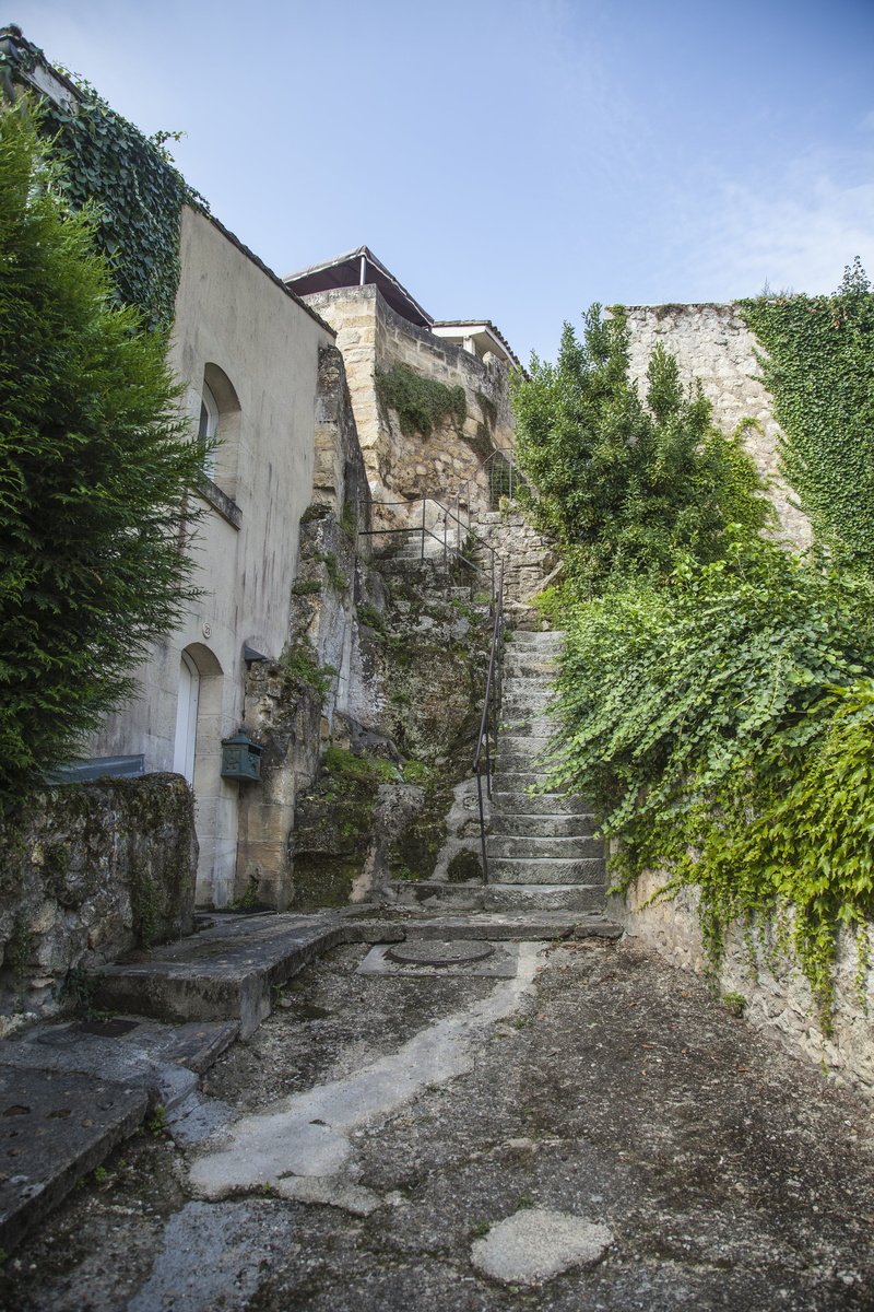 saint-emilion, plant, day, the way forward, pavers, great wines, sky, ruined, lane, no people, europe, travel destinations, growth, old, history, architecture