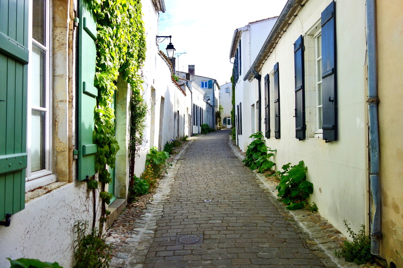 paving stone, diminishing perspective, alley, lane, building, house, french village, picturesque, residential district, long, 5K, direction, pavers, city
