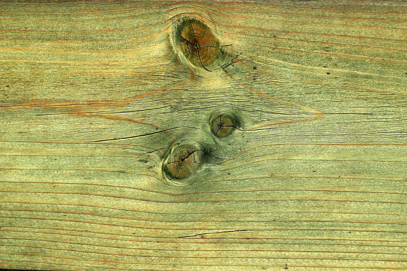 one animal, Walls, no people, outdoors, design, wood grain, structured, Texture, board, floor, wood - material, nature, directly above, background, table