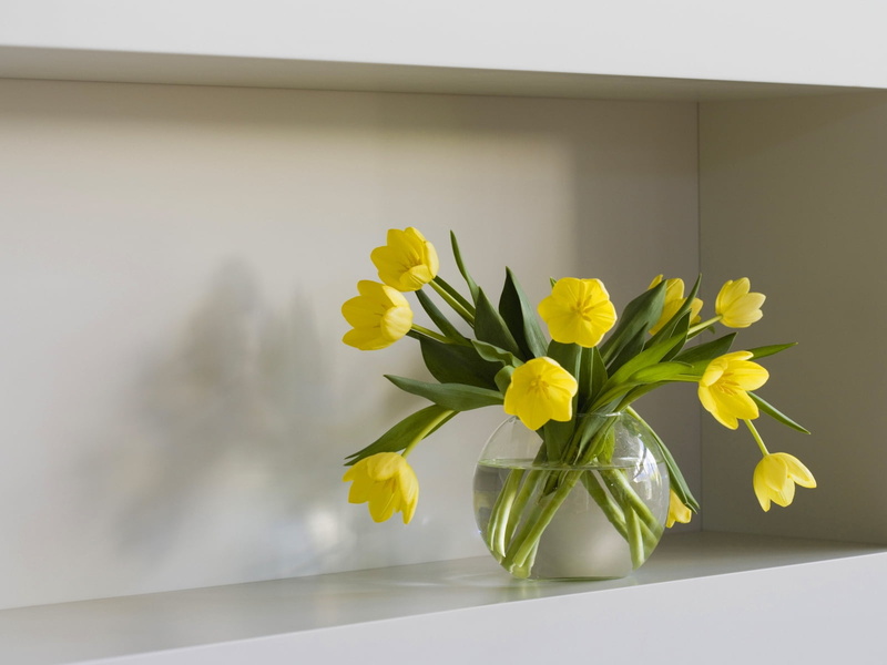 white color, daffodil, flowering plant, decoration, green Color, plant, nature, no People, blossom, easter, indoors, colors, decor, wall - building feature