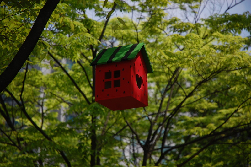 red, forest, branch, niche, green color, growth, no people, low angle view, sunlight, close-up, asia, beauty in nature, plant, selective focus, 2K, architecture