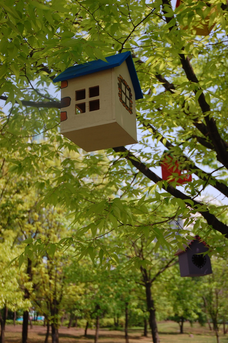 house, built structure, nature, tree, 2K, no people, low angle view, branch, plant, niche, hanging, korea, green color, birdhouse, freshness, asia, residential district