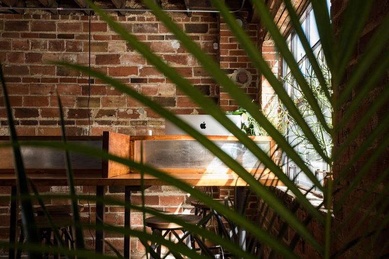 computer, brick wall, pattern, desk, interior, job, work, light, red, office, coworking, plant, built structure, brick, wall, indoors, staircase, day, space
