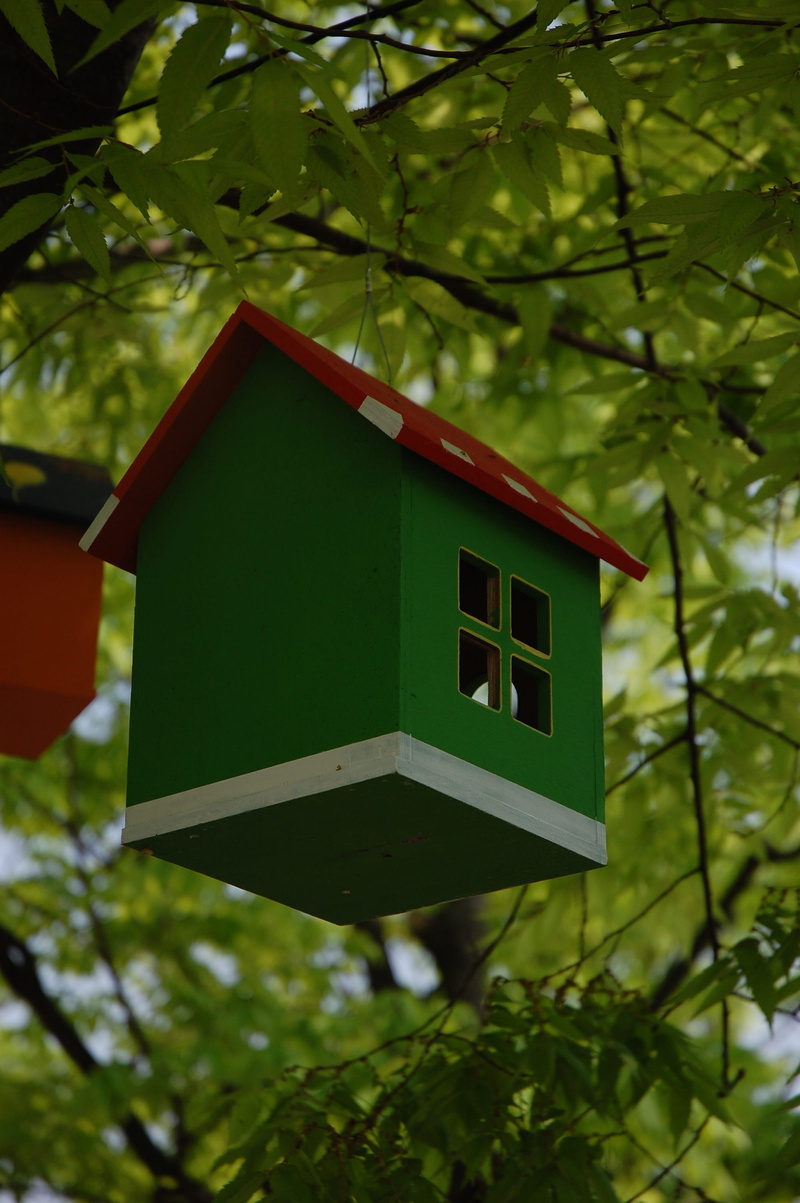 growth, building exterior, 2K, built structure, house, niche, low angle view, hanging, architecture, no people, birdhouse, day, plant, building, leaf