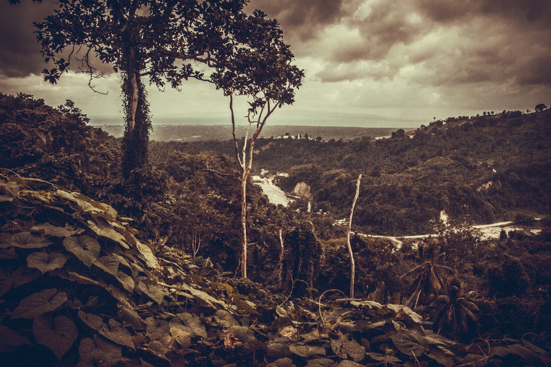 wood, forest, environment, nature, park, land, cloud - sky, travel, photography, water, growth, tranquility, dusk, hill, scenic, dawn, day, #nature, cloudy