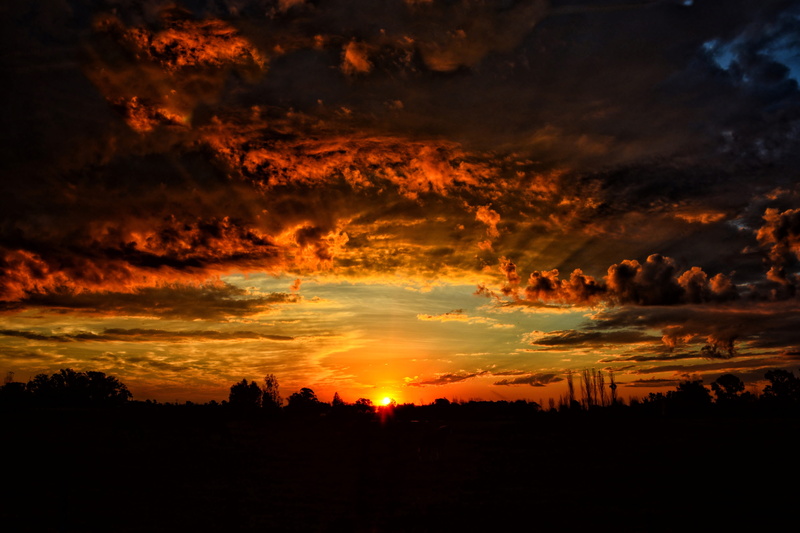 orange sky, tree, orange color, sunset, depth of field, landscape, silhouette, summer, overcast, cloud - sky, tranquil scene, trees, idyllic, non-urban scene