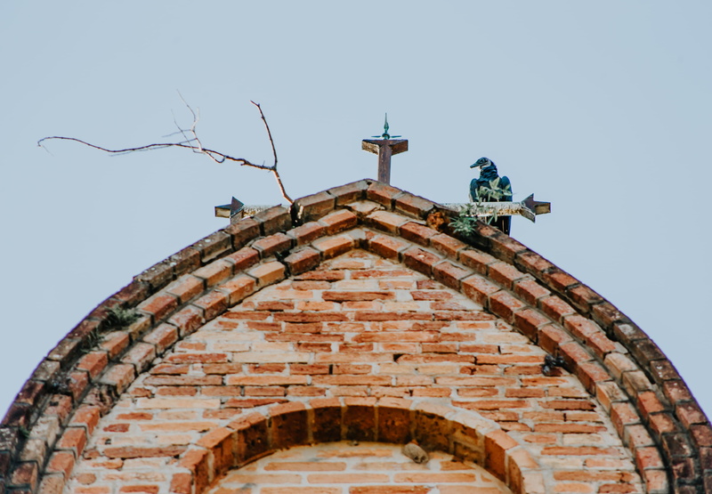 vertebrate, bird, dome, monastery, animal wildlife, tile roof, architecture, housing, day, one animal, archaeology, triangle, animal themes, animals in the wild