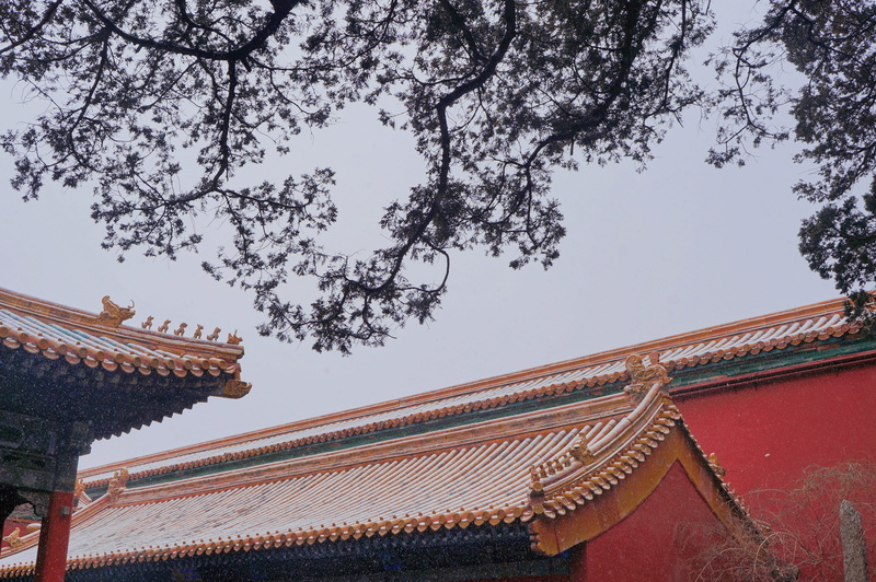 travel destinations, built structure, daytime, tree, worship, building exterior, day, architecture, concrete, shrine, temple, forbidden city, low angle view