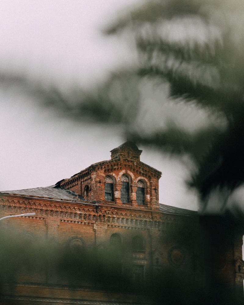 grassland, concrete, castle, housing, history, weather, built structure, shelter, roof, countryside, 2K, building, tower, architecture, brown, mist, fog