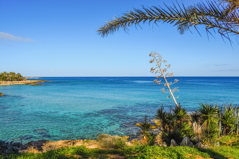growth, day, landscape, 5K, scenics - nature, cyprus, horizon over water, horizon, blue, beauty in nature, nature, idyllic, outdoors, tree, tranquility
