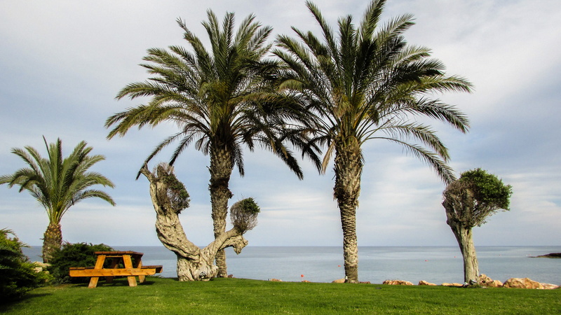 tranquility, Garden, Resort, Hotel, beauty in nature, hotel, tranquil scene, land, sky, Tourism, Cyprus, 4K, nature, garden, plant, no people, sea, scenics - nature