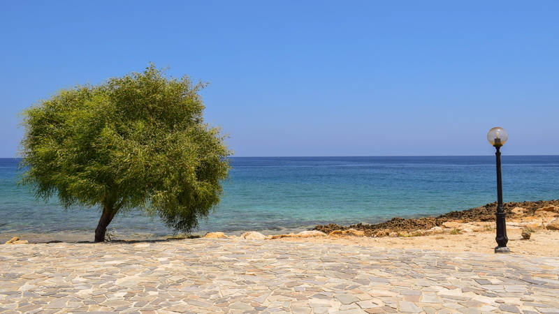 5K, horizon, nature, scenics - nature, sea, protaras, tranquility, plant, no people, horizon over water, blue, water, lamp, tree, cyprus, day, land, clear sky