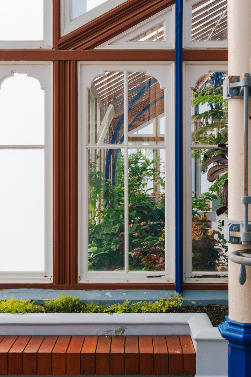 tree, flower pot, architecture, city, nature, growth, day, house, window, sunroom, plant, port elizabeth, st georges park conservatory, entrance, built structure