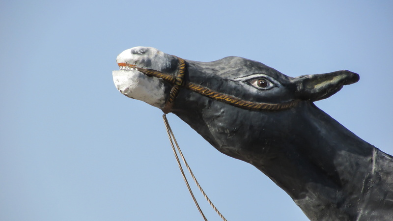 clear sky, head, mammal, one animal, animal wildlife, close-up, day, no people, statue, low angle view, vertebrate, animals in the wild, 4K, nature, profile view