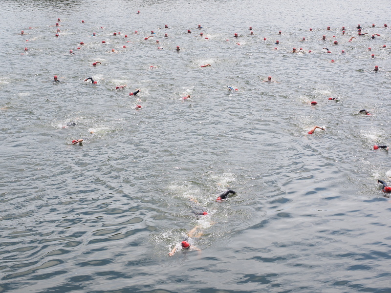 outdoors, swim, high angle view, vacations, sport, swimming, day, crawl, triathlon, lifestyles, men, water sports, waterfront, swimmer, swim stroke, river
