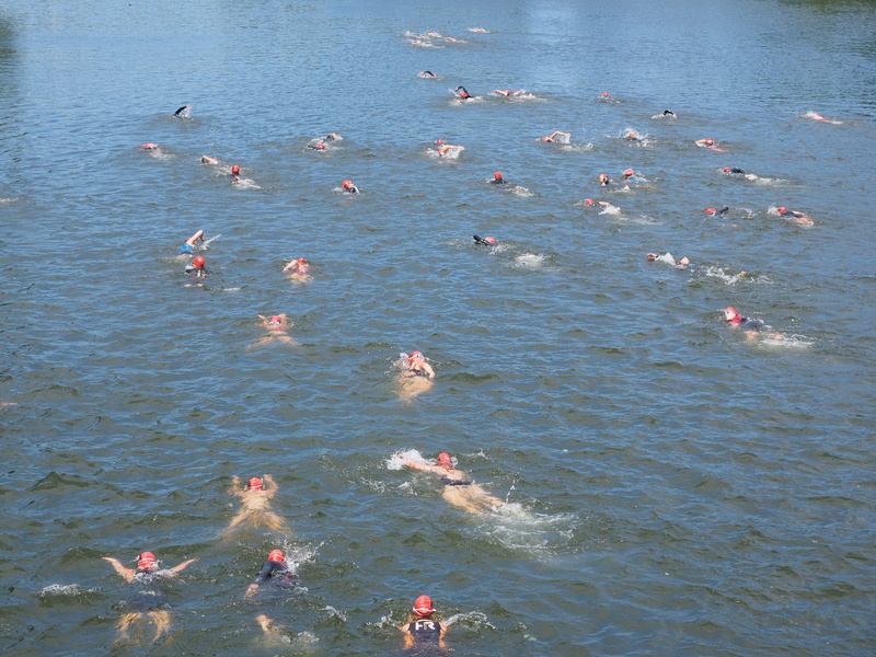 water, danube, day, beauty in nature, athletes, outdoors, river, waterfront, tranquility, competition, marine, no people, floating, sport, ulm, floating on water