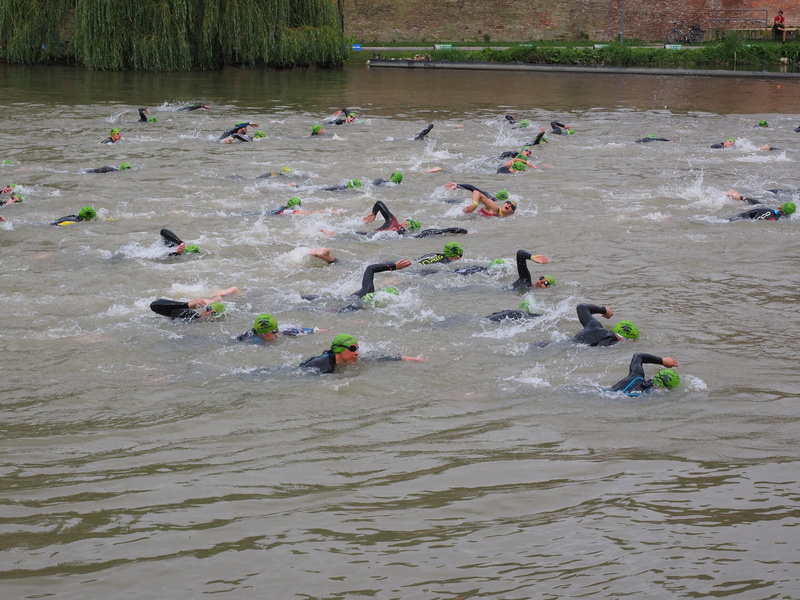 motion, nature, danube, leisure activity, sport, crowd, swimming, wetsuits, swimmer, people, swim, high angle view, group of people, human, lifestyles