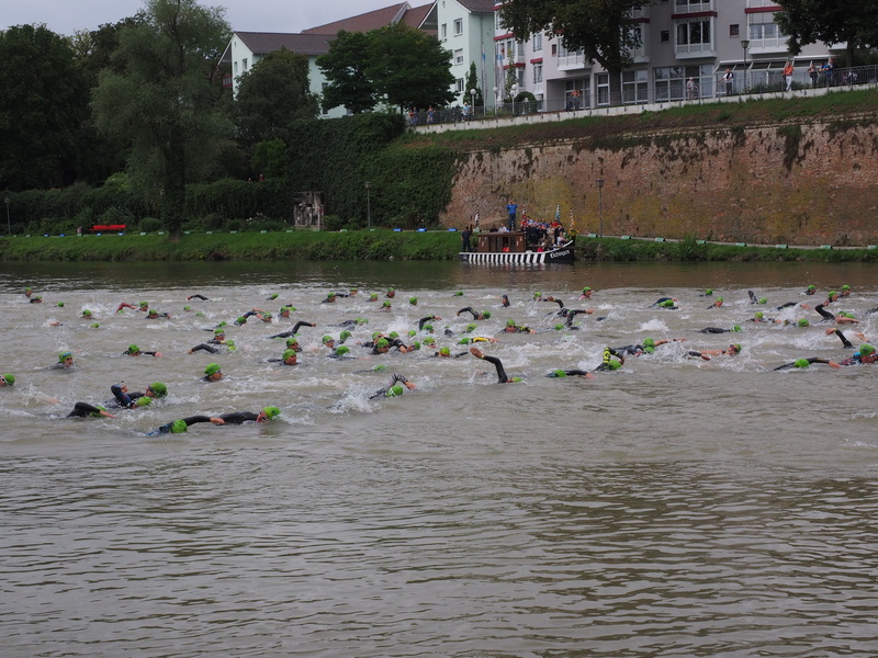 group of people, built structure, river, human, animal wildlife, building exterior, waterfront, sport, 4K, people, animal themes, wetsuits, ulm, swimmer