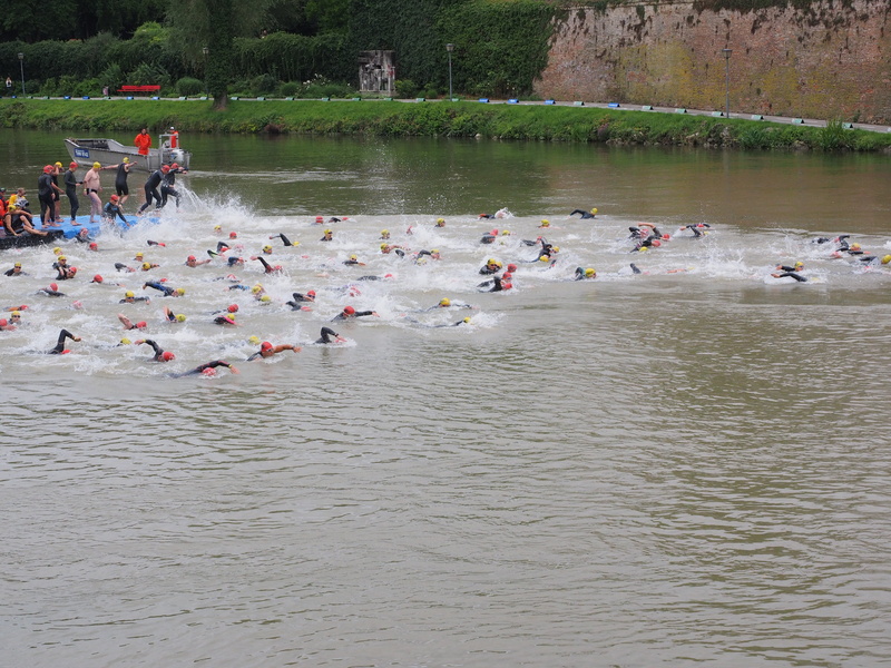 river, involved, competition, crowd, animal themes, day, lake, human, large group of people, animal wildlife, group of people, people, real people, wetsuits