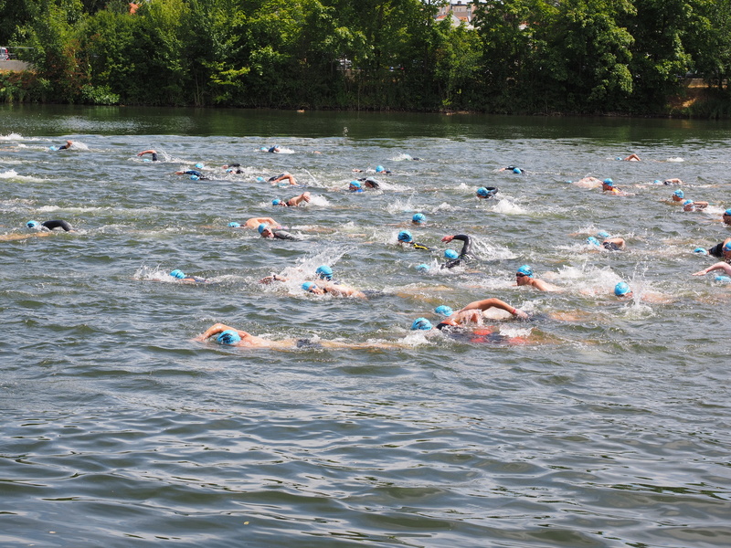 Triathlon, waterfront, Swim, floating on water, outdoors, group of people, tree, inflatable, 4K, vertebrate, men, animal wildlife, plant, swim stroke