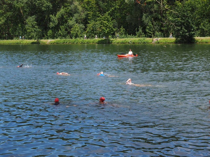 competition, bird, track and field athletes, river, athletes, water, animal themes, 4K, waterfront, plant, scenics - nature, floating on water, group of animals