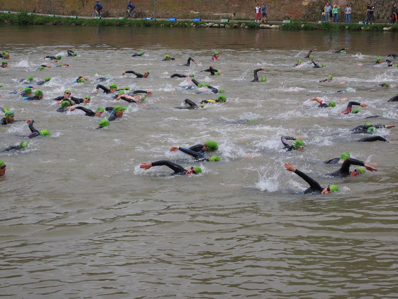 competitive sport, water, sport, men, group of people, river, wildlife, swimming, bird, group of animals, outdoors, high angle view, 4K, nature, waterfront
