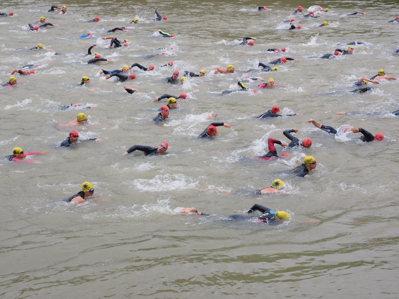wetsuits, river, track and field athletes, effort, danube, real people, men, large group of people, people, swim stroke, skill, competitive sport, competition