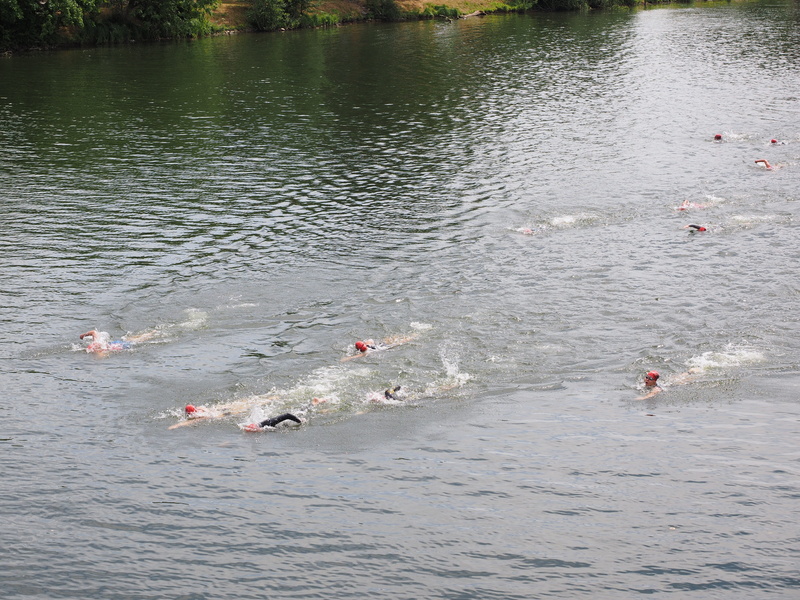 Swim, large group of people, water, swimmer, group of people, outdoors, athletes, Triathlon, swimming sports, high angle view, group of animals, lake, men