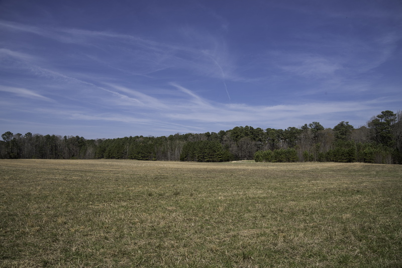 grass, scenics, growth, beauty in nature, rural Scene, land, outdoors, trees, no People, photos, tranquility, Yorktown, green Color, cloud - Sky, blue