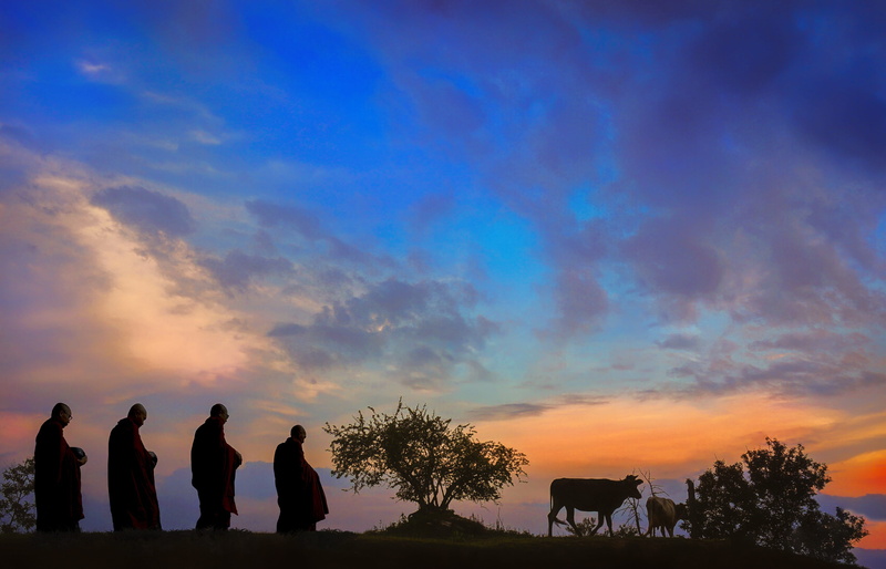 sunset, buddhist, silhouette, real people, monastery, people, mammal, morning, culture, alms-round, religious, field, nature, land, pets, outdoors, herbivorous