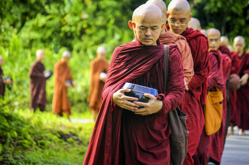 spirituality, saṅgha, robe, group of people, clothing, men, plant, traditional clothing, saṅgha in line, adult, 4K, day, religion, outdoors, red, nature