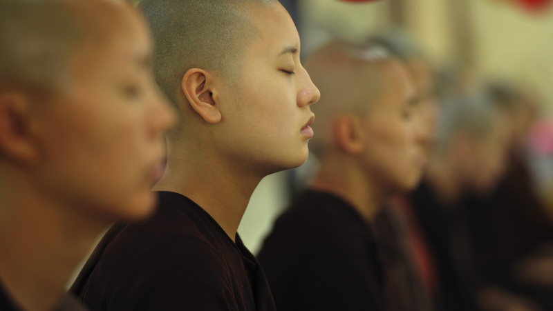 sayalays, males, people, buddhism, theravada, looking, monastery, portrait, selective, young adult, adult, theravada buddhism, meditating, person, females