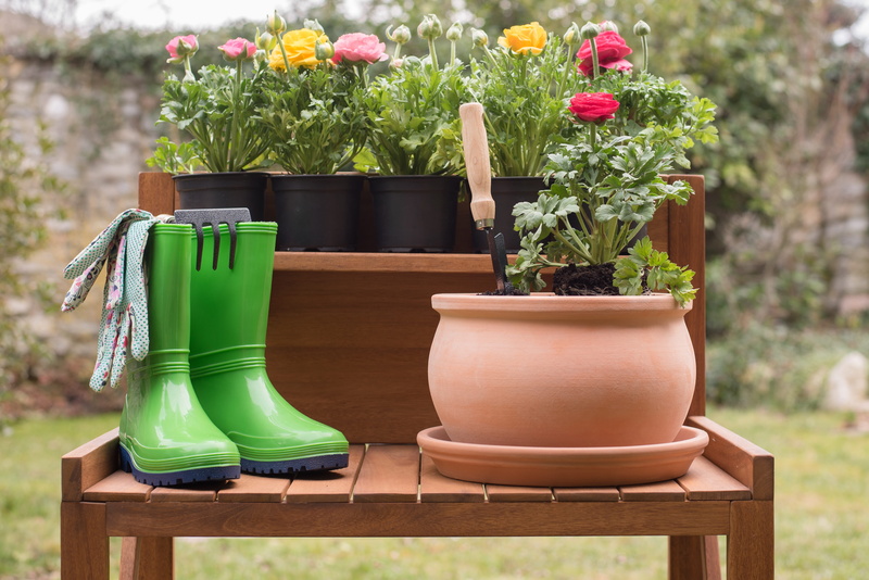 seat, wood - material, outdoors, plant, clay, green color, spring flower, spring, potted plant, summer flowers, beside, gardening, can, flora, botany, nature