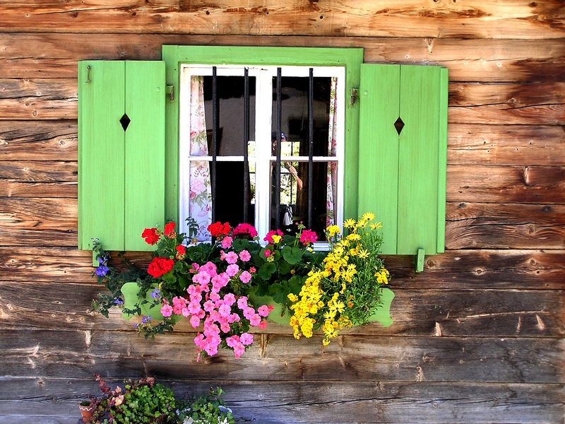 old window, cabinet, 1080P, building exterior, window grilles, freshness, fragility, built structure, wood - Material, window, baita, nature, day, architecture