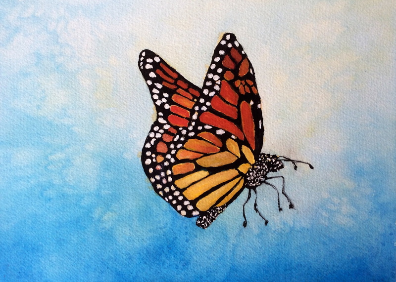 day, no people, natural pattern, animal, multi colored, animal wildlife, butterfly - insect, animal markings, invertebrate, blue, animal themes, 1080P