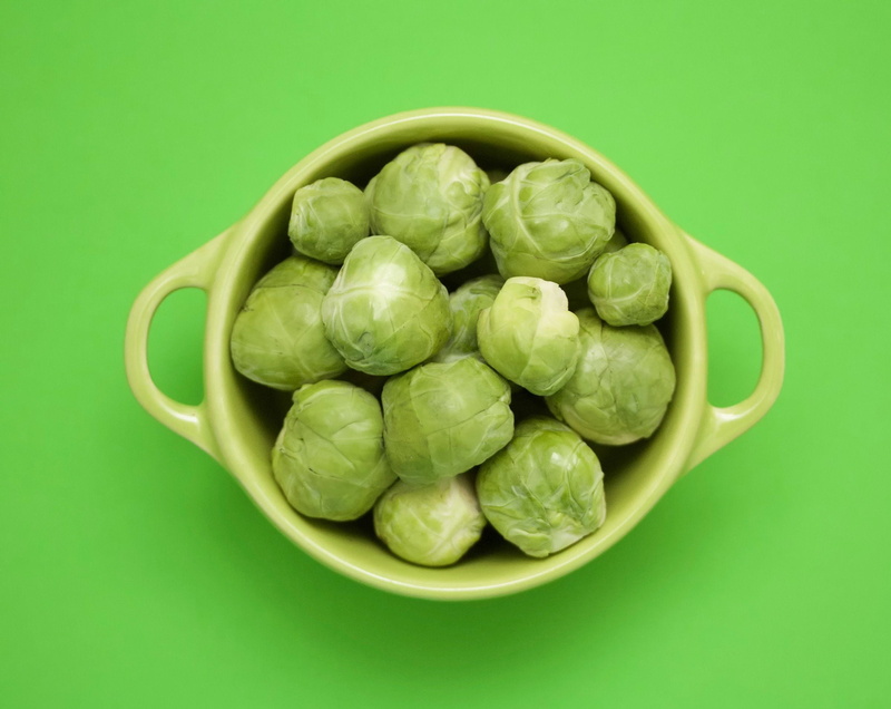 green color, no people, green background, crockery, indoors, directly above, healthy eating, colored background, bowl, Green, animals, food and drink, close-up