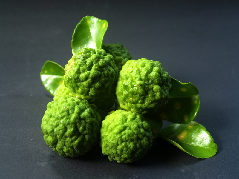 fresh, food and drink, brussels sprout, vegetable, herbal, ancient, colored background, food, lemon, cuisine, isolated, leaf, gray, studio shot, green color