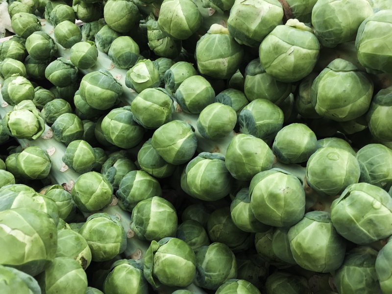 harvest, market, vegetable, green color, cabbage, fresh, vegan, nature, large group of objects, salad, high angle view, plant, full frame, organic, abundance
