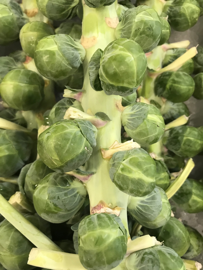 freshness, leaf, brussels sprout, 4K, still life, close-up, vegatables, day, nature, wellbeing, brussel sprout, food and drink, raw food, large group of objects