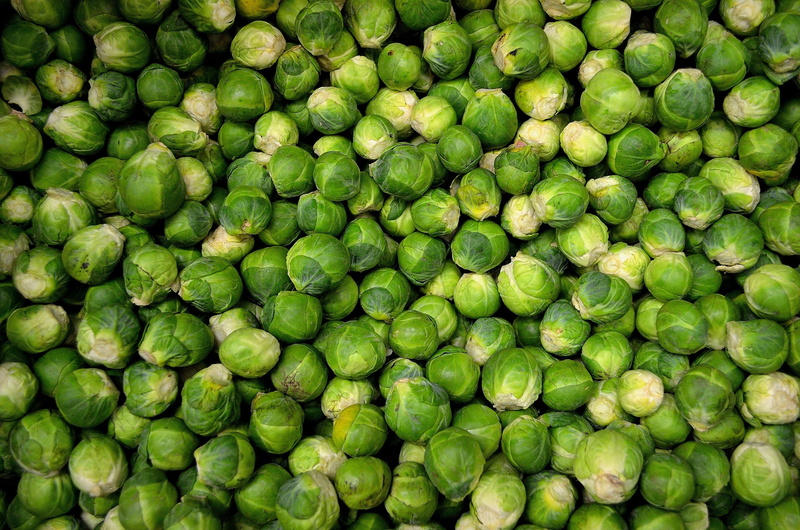 miniature cabbage, retail, green, wellbeing, healthy, close-up, food, vegetable, ripe, bunch, sprouts, green color, full frame, still life, freshness, brussels sprout