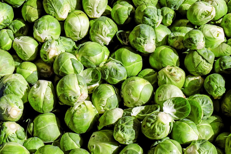food and drink, green color, 1080P, kohl, ripe, freshness, close-up, healthy eating, market, vegetable, letus, rosenkoehlchen, full frame, no people, food