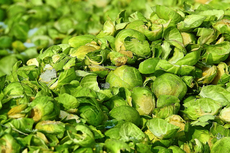 food, abundance, freshness, leaf, wellbeing, 4K, food and drink, plant part, large group of objects, growth, close-up, full frame, no people, brussels sprout