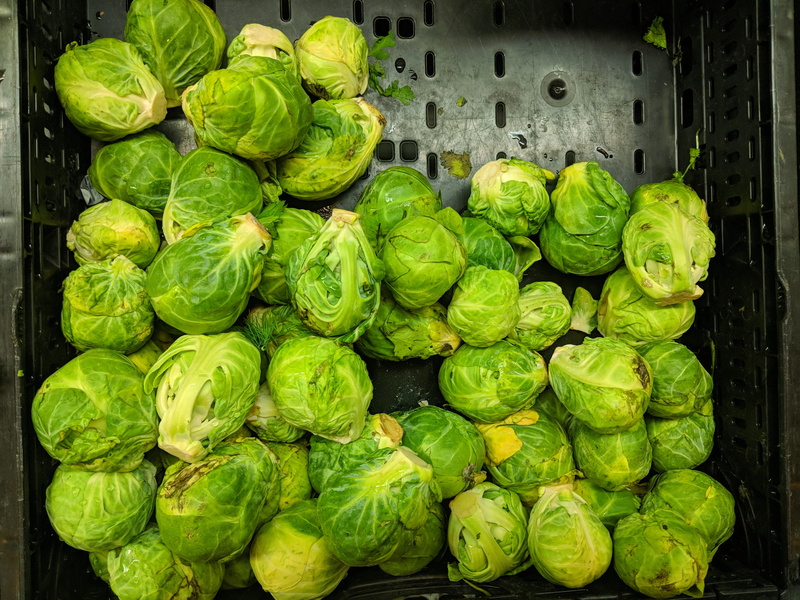 united states, vegetables, brussels sprout, food and drink, retail, citigroup center, healthy eating, flora, large group of objects, green, freshness, green color
