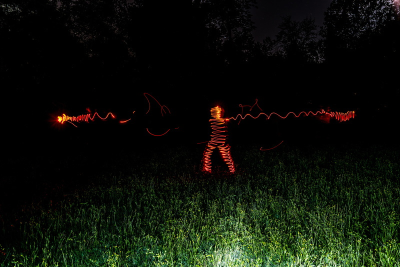 grass, light, person, land, plant, 5K, animal, longexposure, outdoors, insect, photographt, green, glowing, lightpaintingphotography, lighttheworld, environment