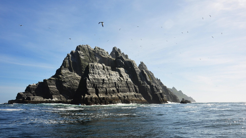 day, vertebrate, flock of birds, bid, animal wildlife, no people, solid, rocky, mystery, water, animal, nature, 4K, beauty in nature, seagulls, eroded