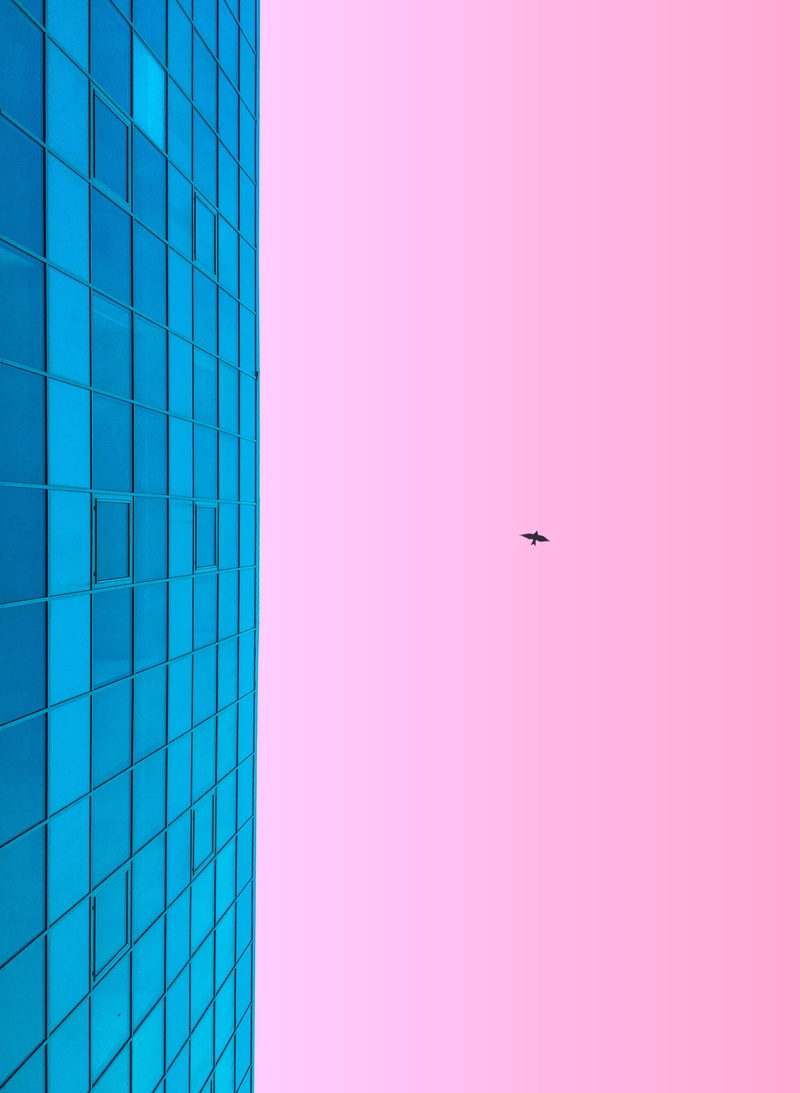 s, no people, worm, clear sky, low angle view, bid, photography, blue, glass, nature, window, day, high-rise building, backgrounds, built structure, copy space