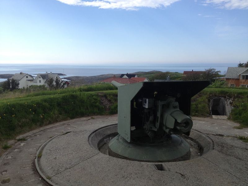 field, outdoors, sky, no people, the past, water, horizon over water, plant, day, bid, old, nature, cannon, fortress, weapon, history, architecture, transportation